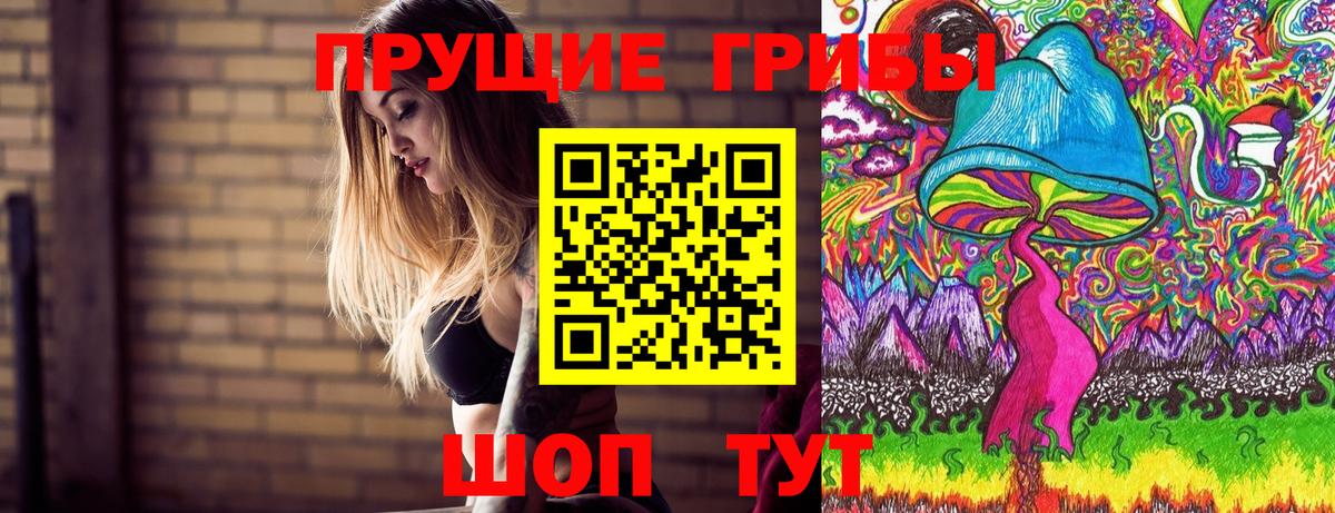 Псилоцибиновые грибы мицелий  где купить наркоту  Сергиев Посад  Вход с VPN 